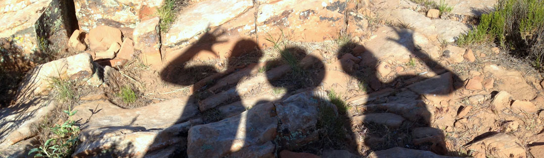 About Us--Leadership_Executive_Atlanta_ISHR_About_Us_banner